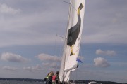 Kalkgrund_2016_ORC__YS 39
